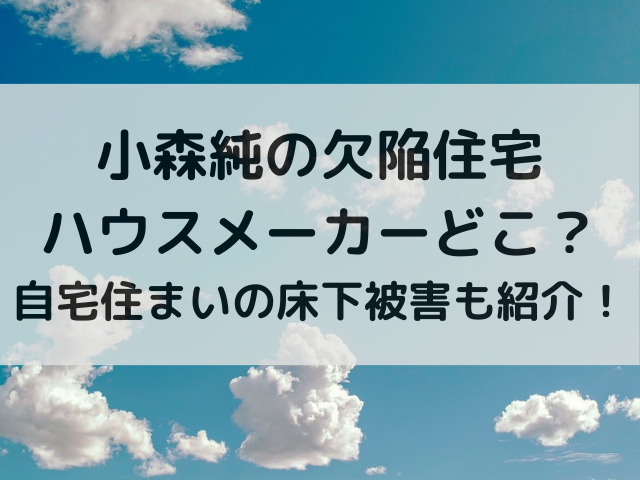 小森純の欠陥住宅ハウスメーカーどこ？自宅住まいの床下被害も紹介！